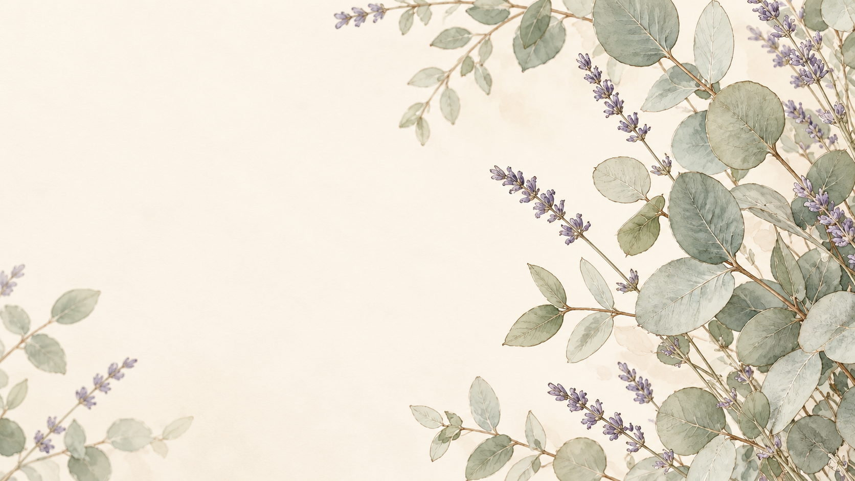 Illustration en traits fins d’eucalyptus et de lavande sur un fond crème doux